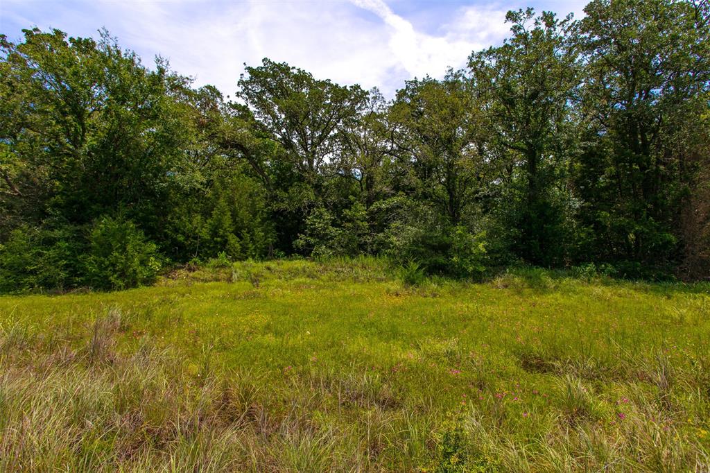 TBD S Hwy 79  , Marquez, Texas image 4