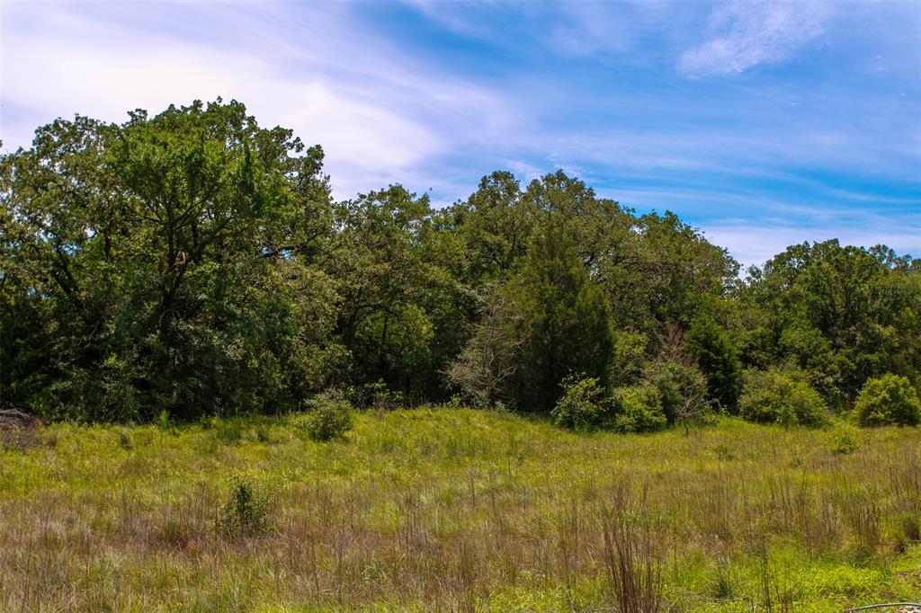 TBD S Hwy 79  , Marquez, Texas image 5