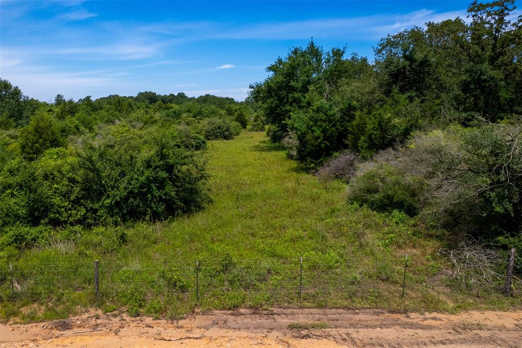 TBD S Hwy 79  , Marquez, Texas image 6