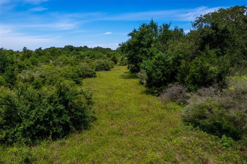 TBD S Hwy 79  , Marquez, Texas image 7