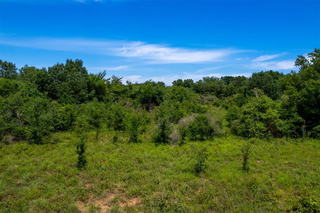 TBD S Hwy 79  , Marquez, Texas image 8