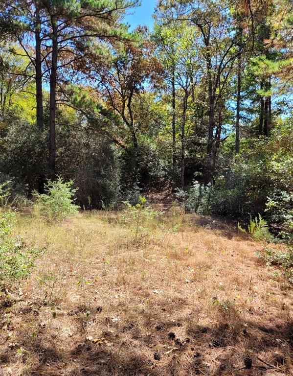 Partially cleared lot - leading to back of property where you\'ll find a dry creek bed