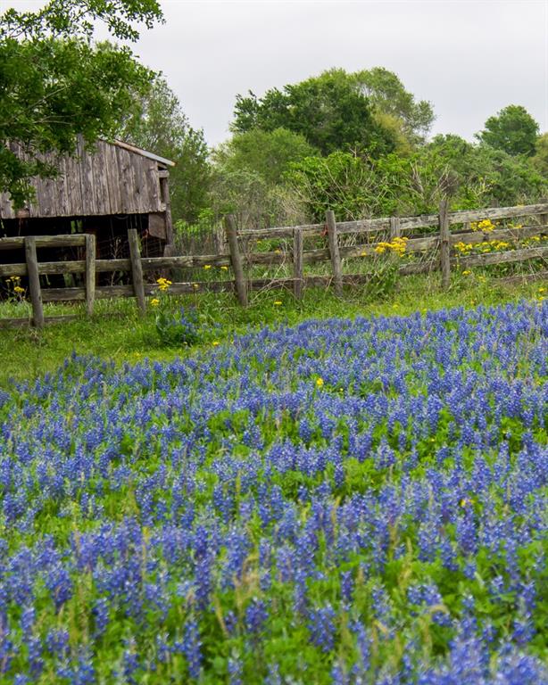 4611 Granary Hollow Court , Fulshear, Texas image 11