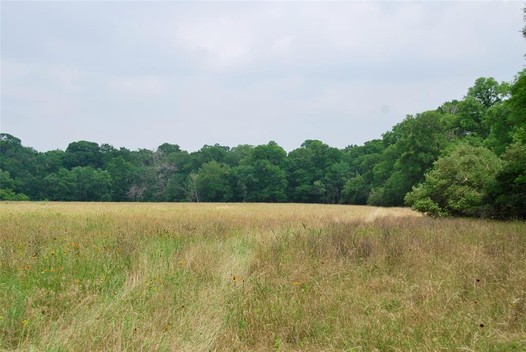 3140 Piano Bridge Road , Schulenburg, Texas image 32