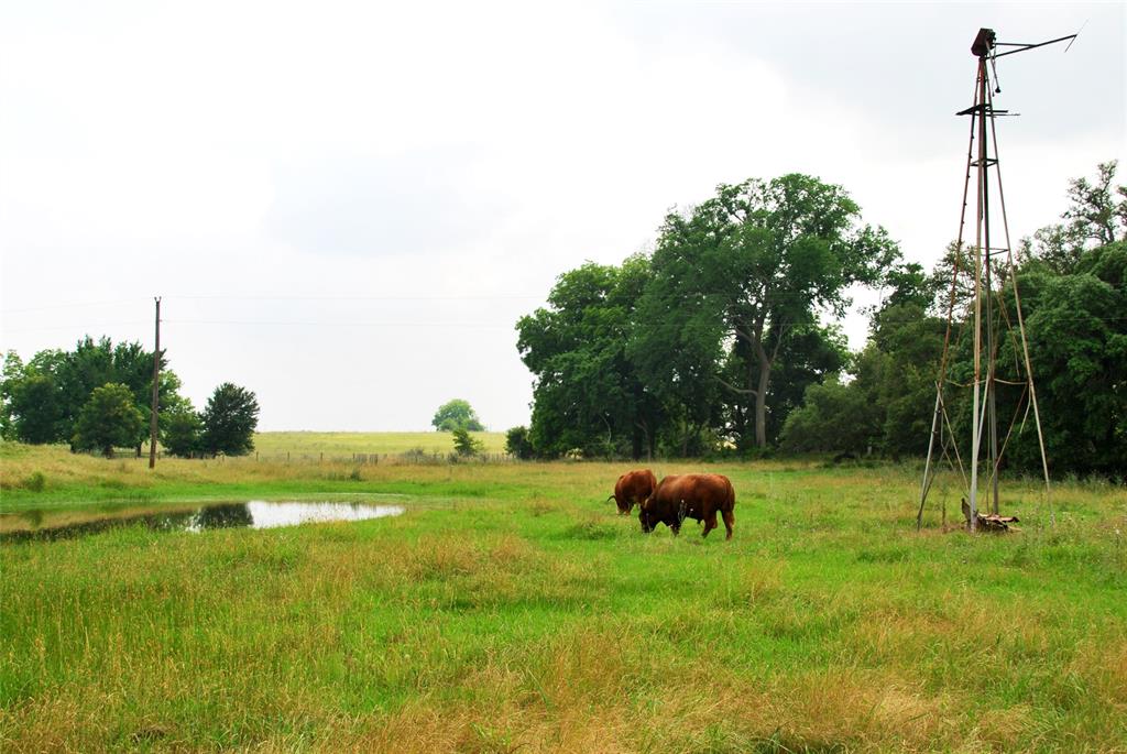 3140 Piano Bridge Road , Schulenburg, Texas image 38