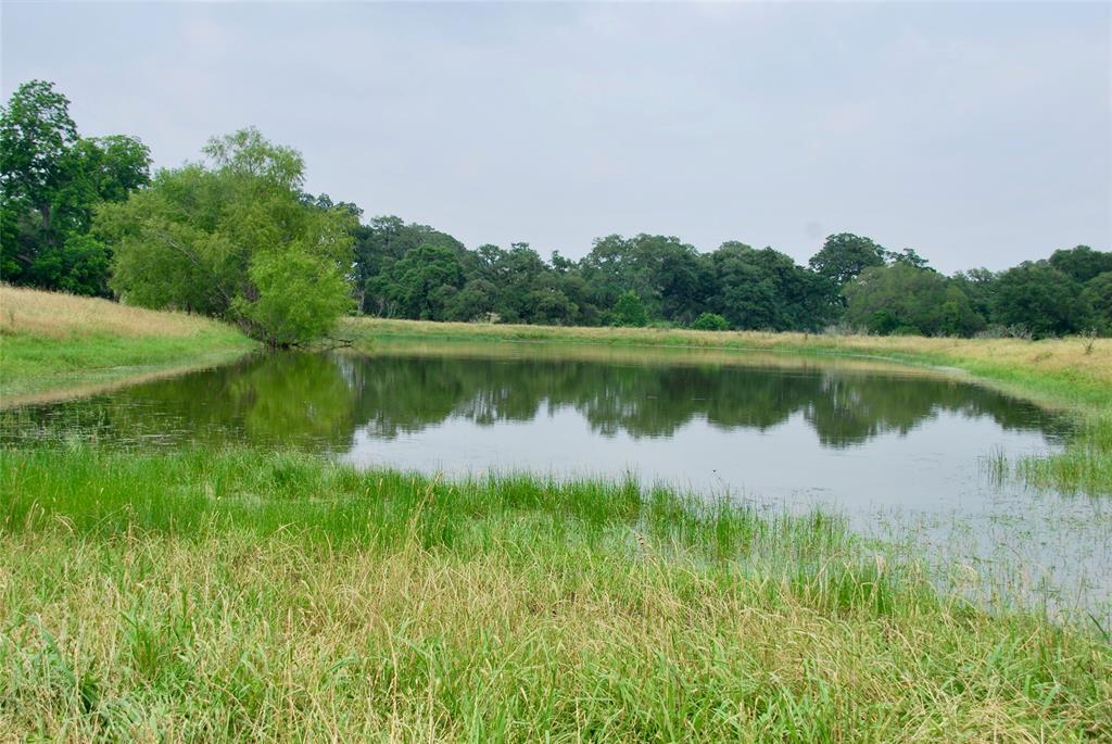 3140 Piano Bridge Road , Schulenburg, Texas image 39