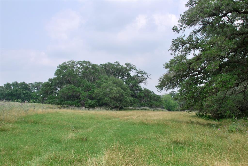 3140 Piano Bridge Road , Schulenburg, Texas image 40