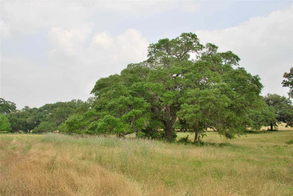 3140 Piano Bridge Road , Schulenburg, Texas image 41