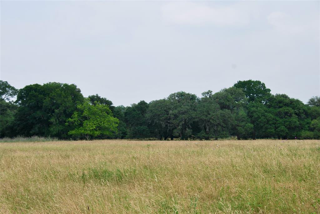 3140 Piano Bridge Road , Schulenburg, Texas image 43