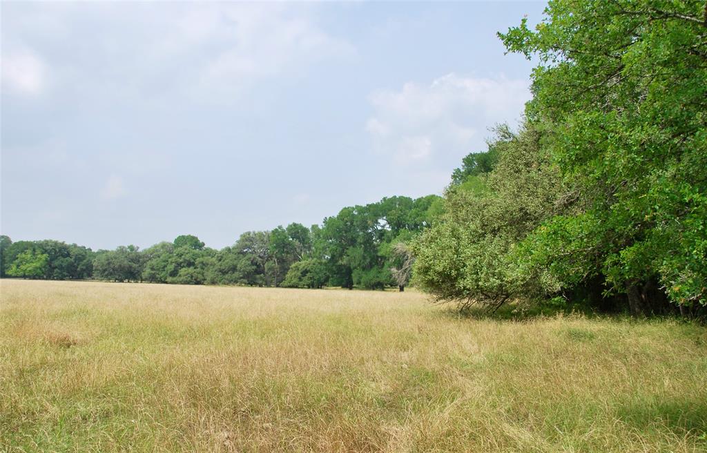 3140 Piano Bridge Road , Schulenburg, Texas image 44