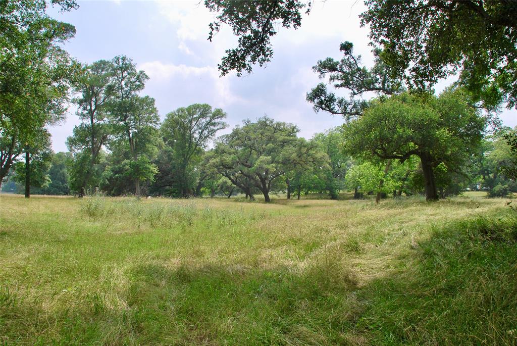 3140 Piano Bridge Road , Schulenburg, Texas image 46