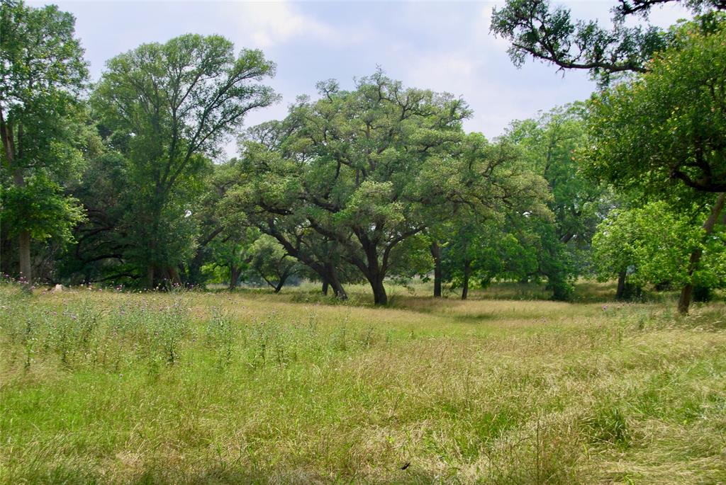 3140 Piano Bridge Road , Schulenburg, Texas image 47