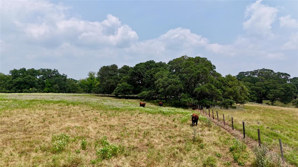 3140 Piano Bridge Road , Schulenburg, Texas image 49