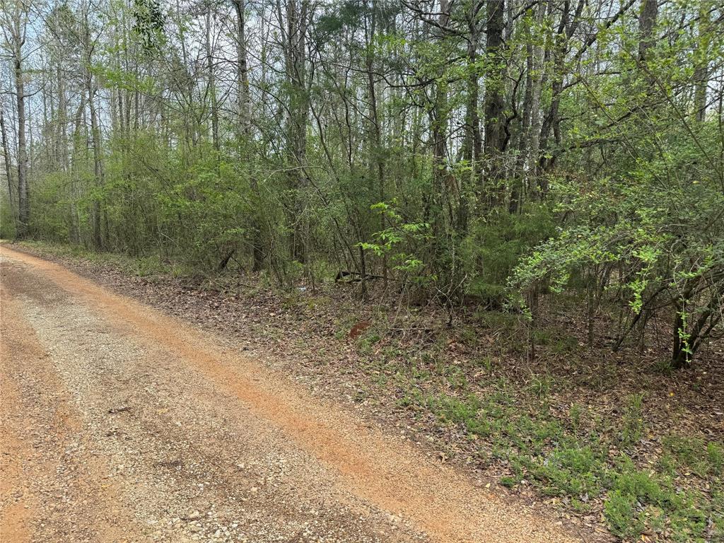 1817 County Road 392  , Nacogdoches, Texas image 8