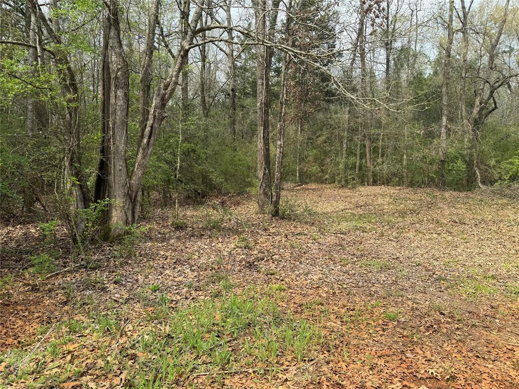 1817 County Road 392  , Nacogdoches, Texas image 9