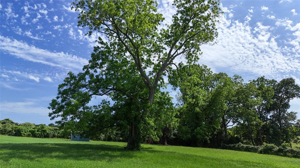 TBD Winding Way Lane , Chappell Hill, Texas image 6