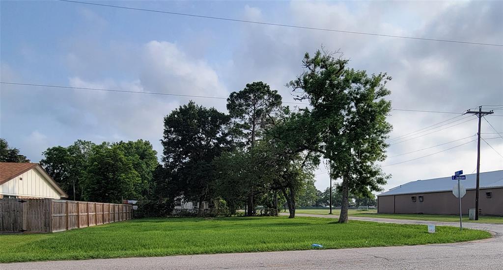 E Jackson Street , West Columbia, Texas image 4