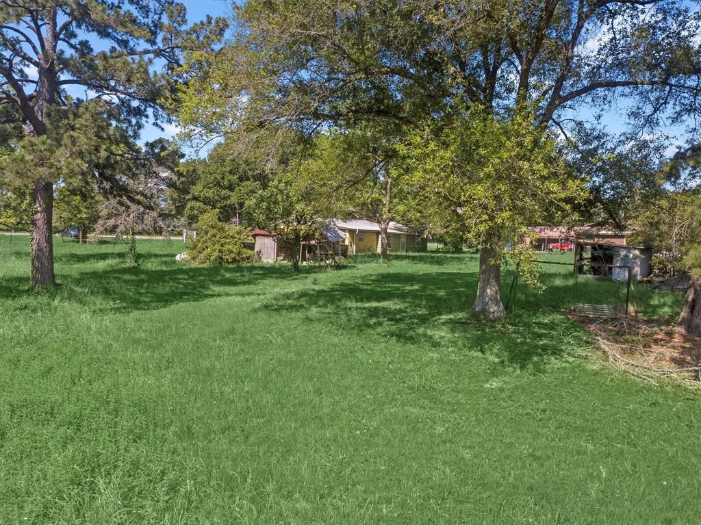 1787 E Hwy 287  , Groveton, Texas image 33