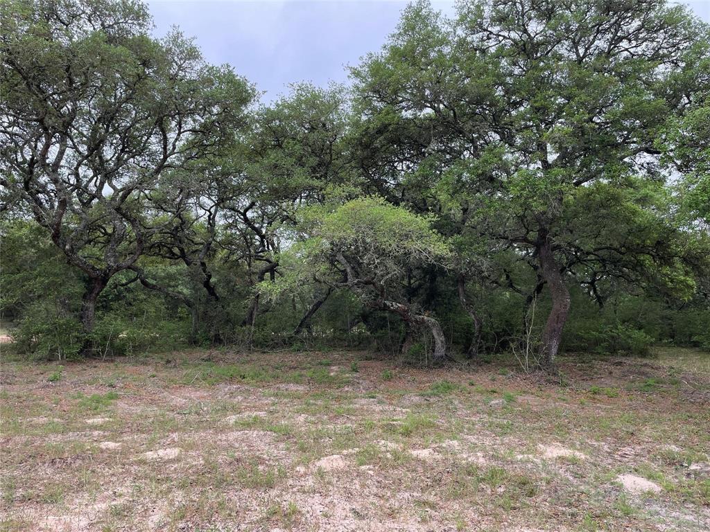 Quiet and peaceful Texas living at it’s finest!