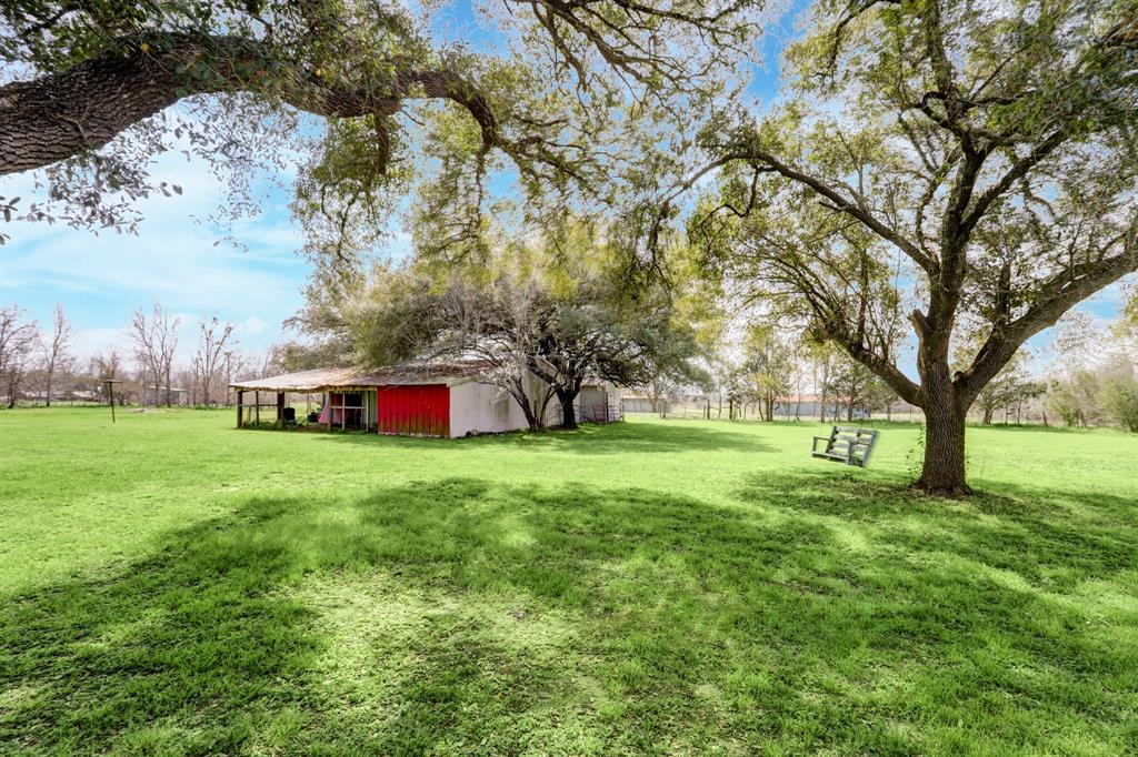 A sunny rural scene with lush green grass, a large tree, a swing, and a barn.