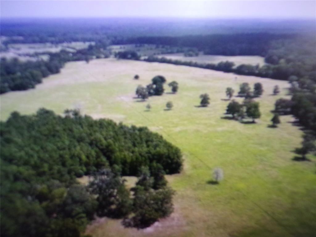 TBD Hwy 94  , Apple Springs, Texas image 1