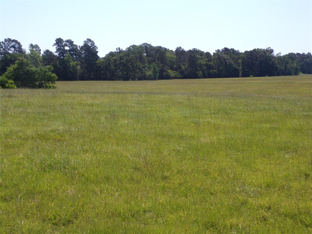 TBD Hwy 94  , Apple Springs, Texas image 11