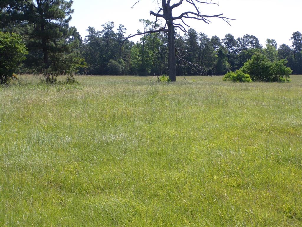 TBD Hwy 94  , Apple Springs, Texas image 12