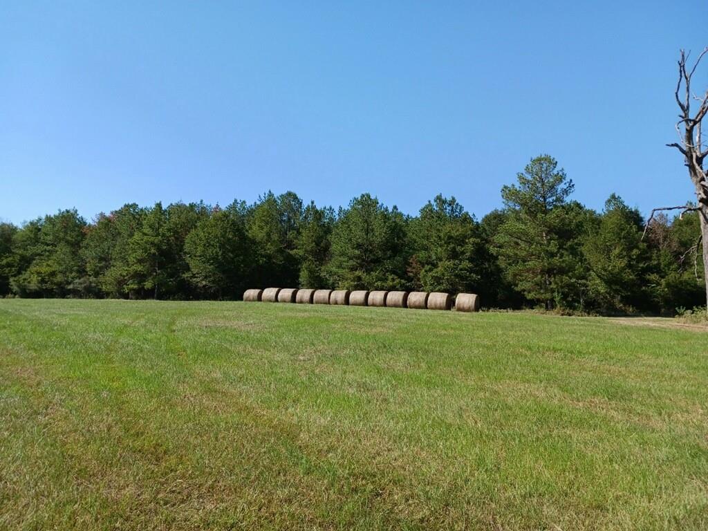 TBD Hwy 94  , Apple Springs, Texas image 19