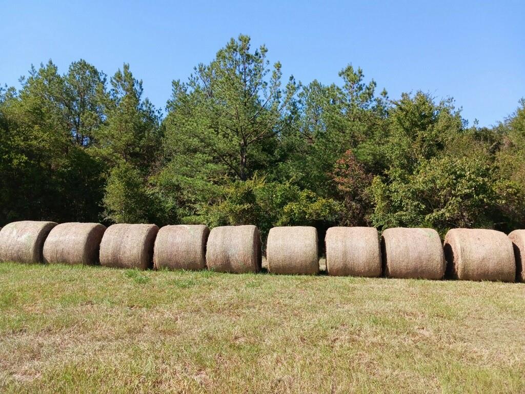 TBD Hwy 94  , Apple Springs, Texas image 3