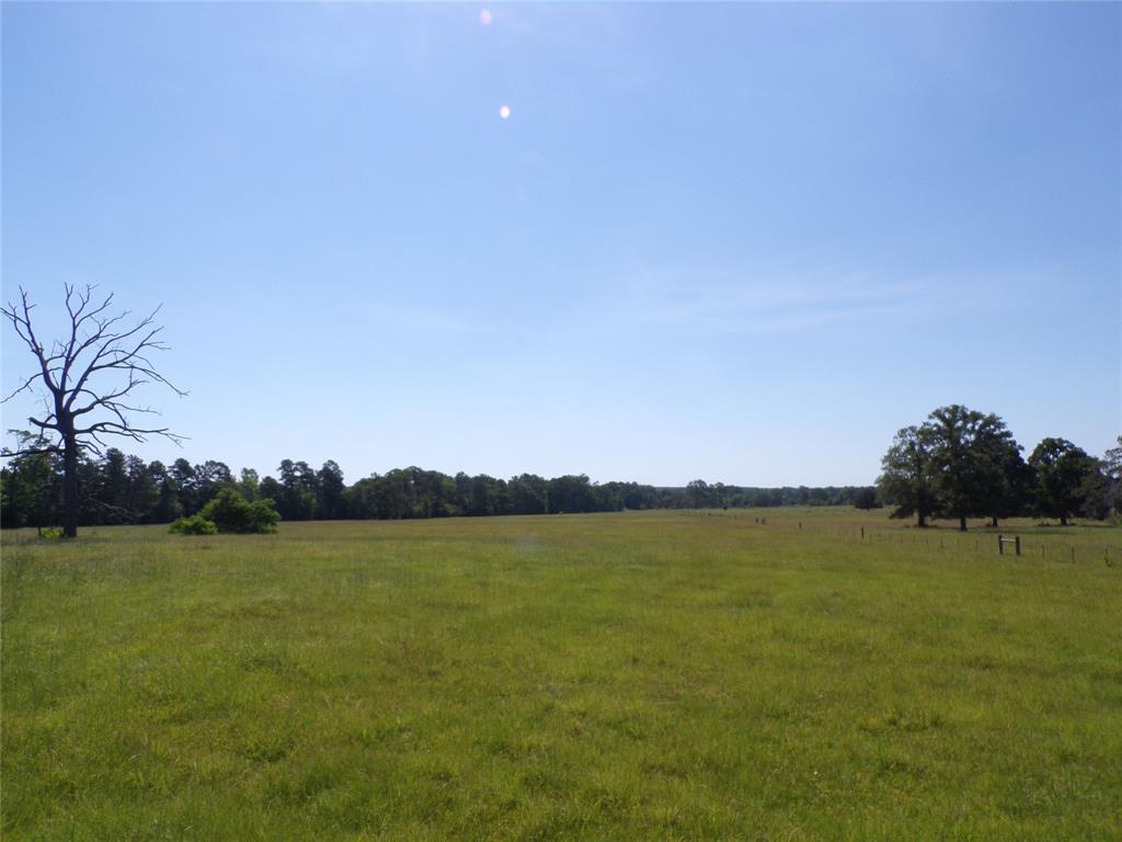 TBD Hwy 94  , Apple Springs, Texas image 6