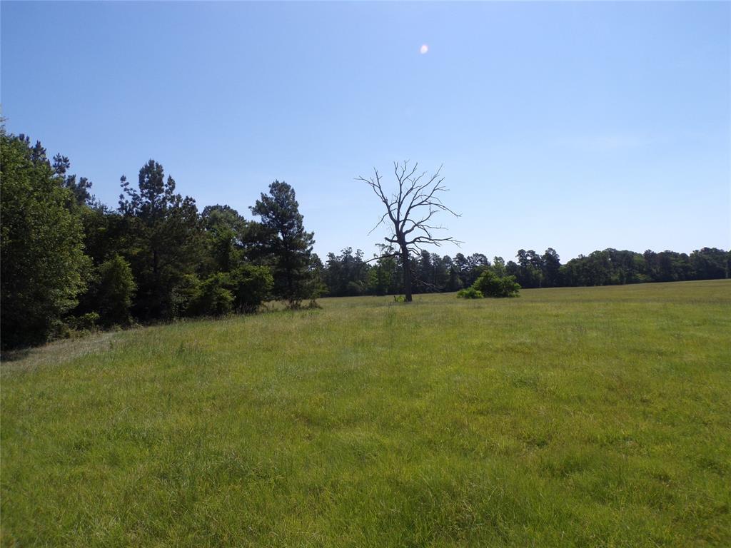 TBD Hwy 94  , Apple Springs, Texas image 7