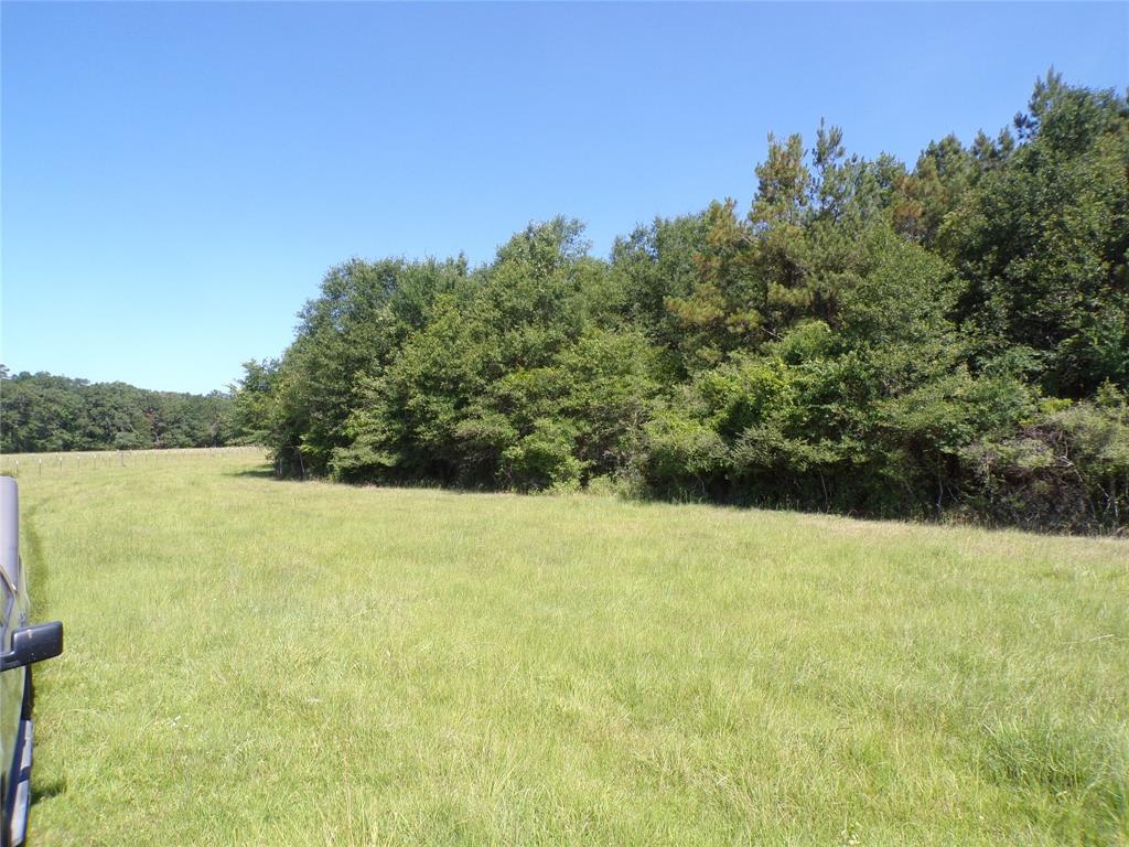 TBD Hwy 94  , Apple Springs, Texas image 8