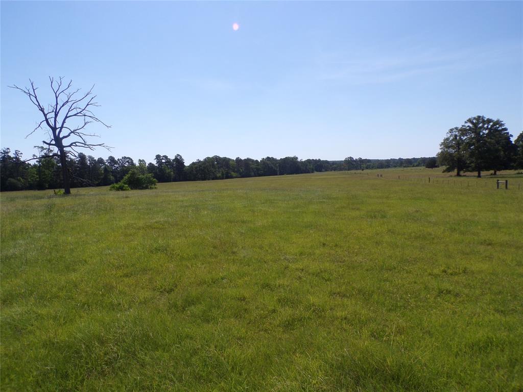 TBD Hwy 94  , Apple Springs, Texas image 9