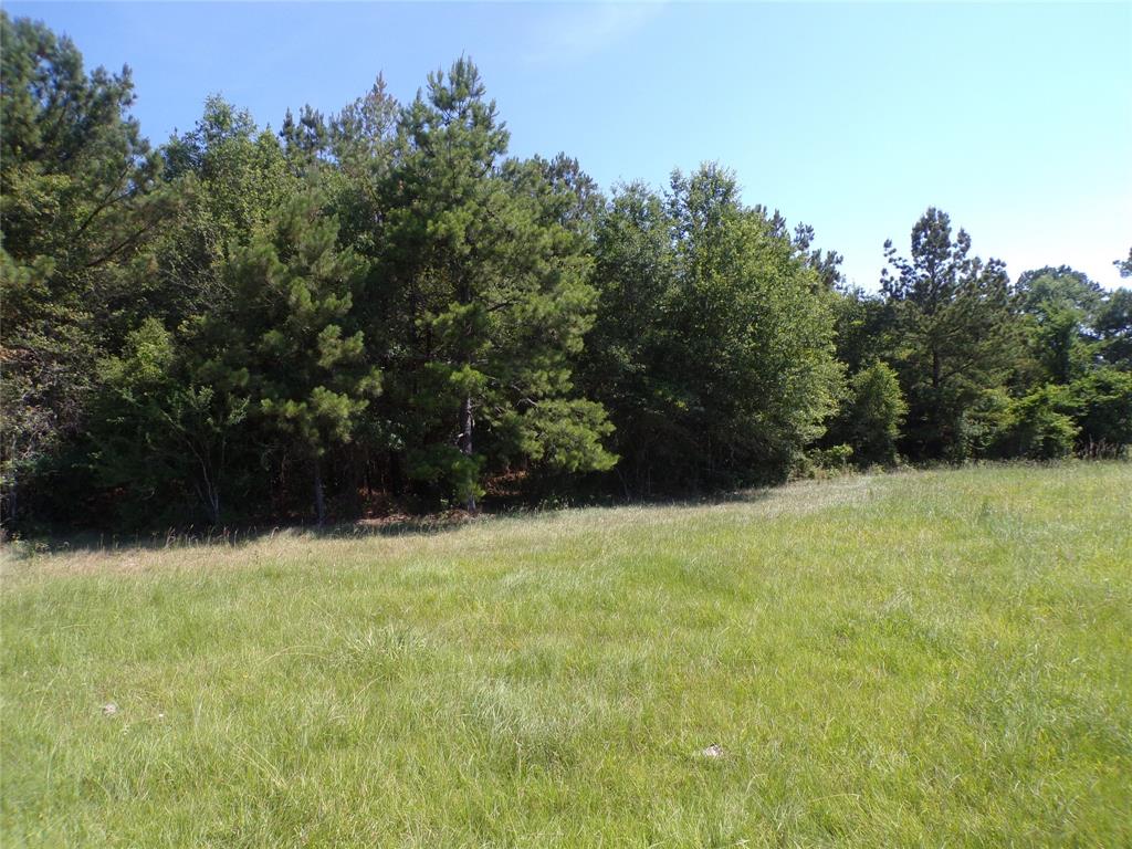 TBD Hwy 94  , Apple Springs, Texas image 10