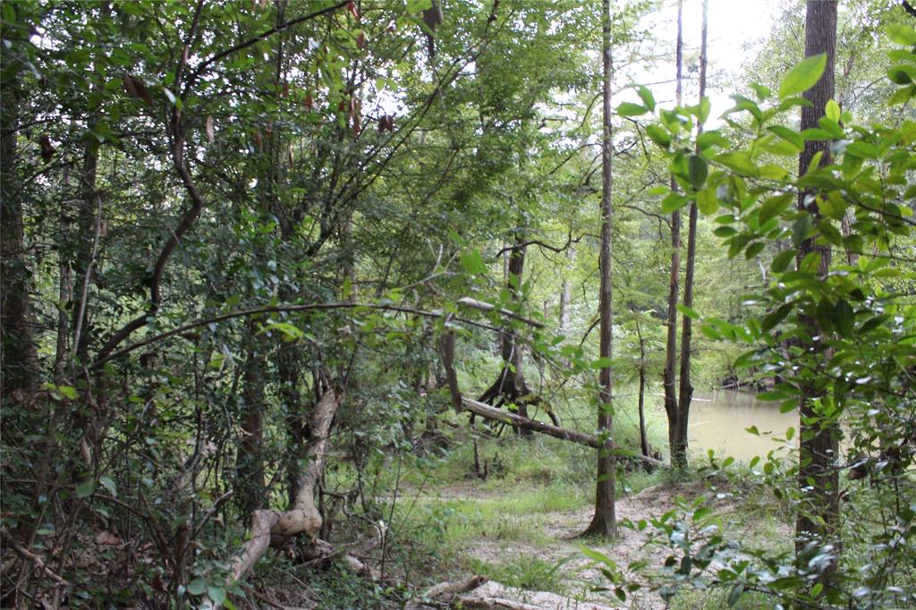 Thomas Lane , Huffman, Texas image 4