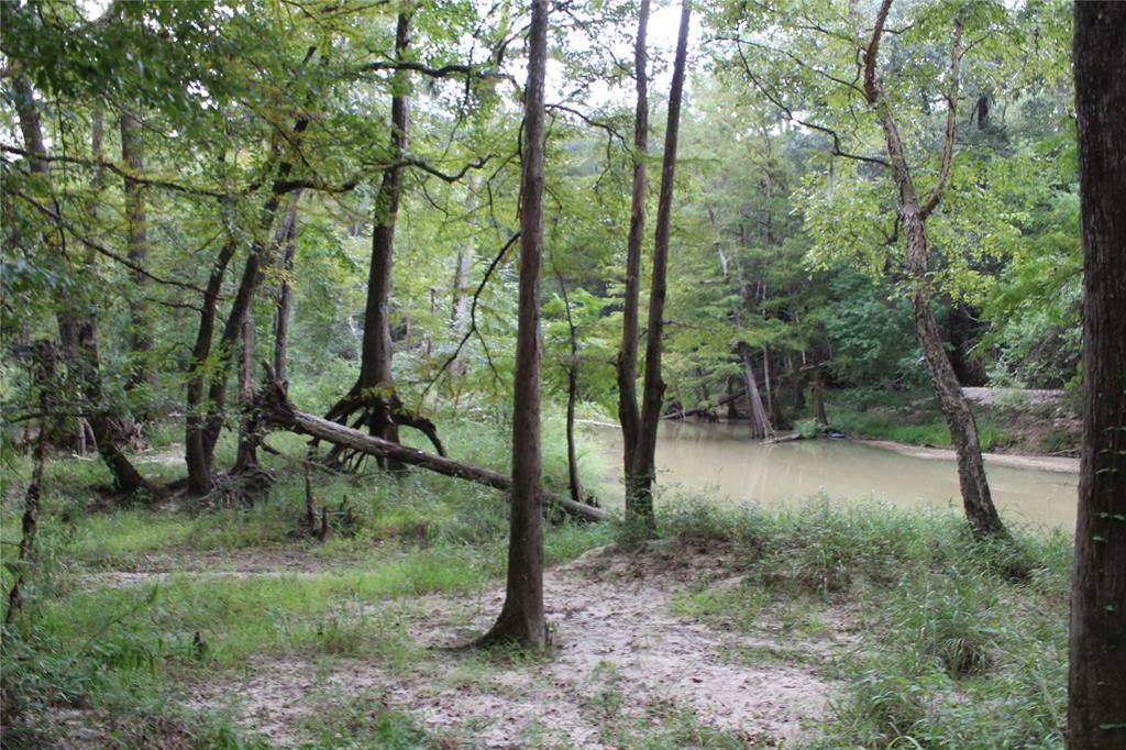 Thomas Lane , Huffman, Texas image 6