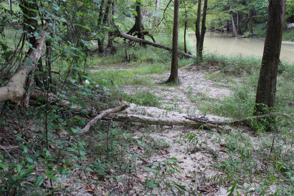 Thomas Lane , Huffman, Texas image 7