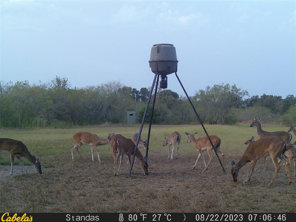 6289 Maynard Hallmark Road , Waelder, Texas image 13