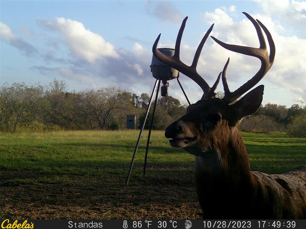 6289 Maynard Hallmark Road , Waelder, Texas image 14