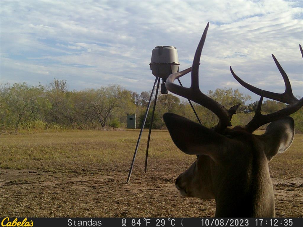 6289 Maynard Hallmark Road , Waelder, Texas image 16