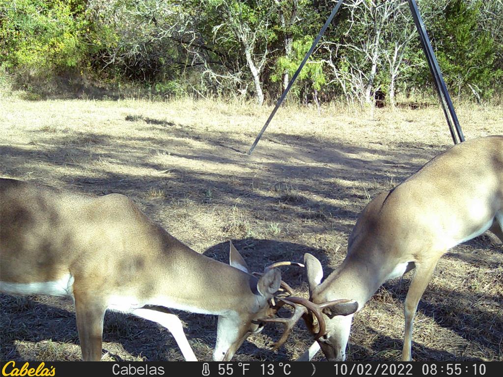 6289 Maynard Hallmark Road , Waelder, Texas image 17