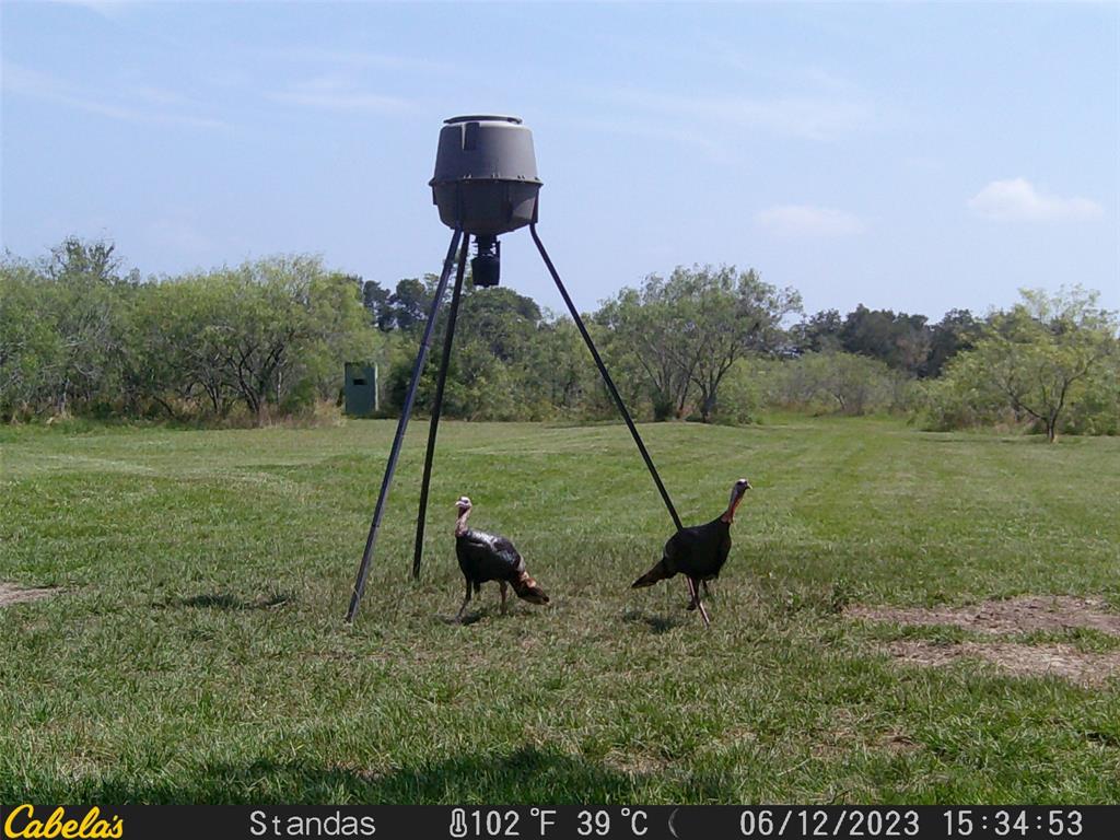 6289 Maynard Hallmark Road , Waelder, Texas image 19