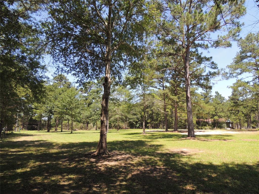 16496 Whippoorwill Road , Navasota, Texas image 9