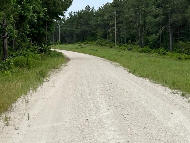 Road coming from county road 779 entrance leading to the property