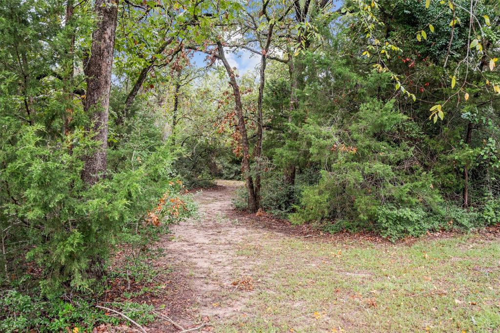 2.5 AC County Road 347  , Jewett, Texas image 5