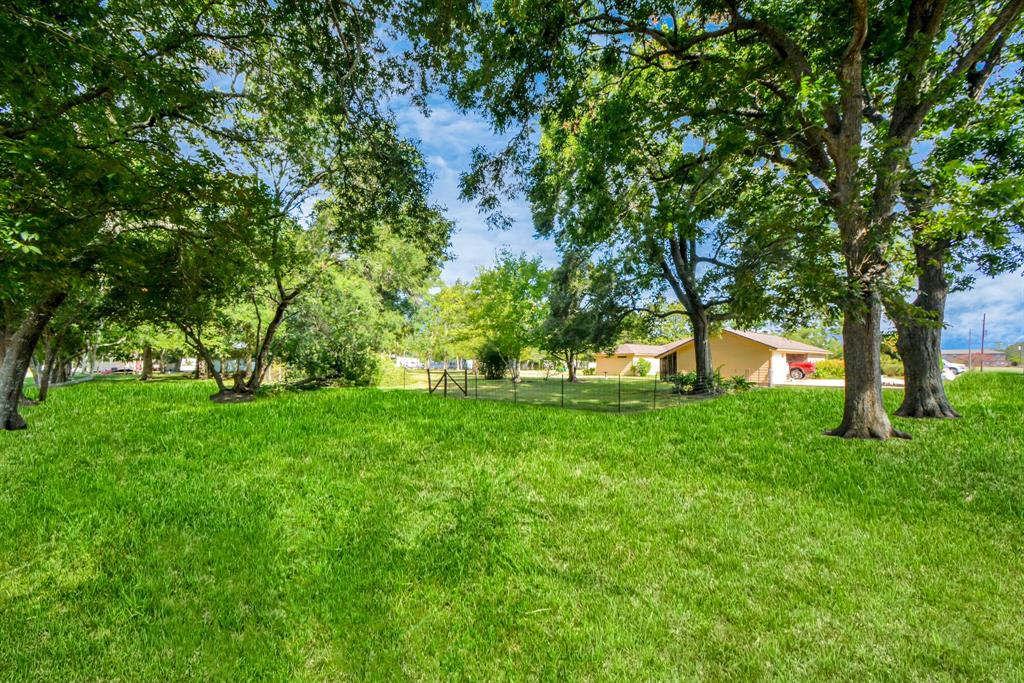 View of the stunning property featuring over 100 trees.