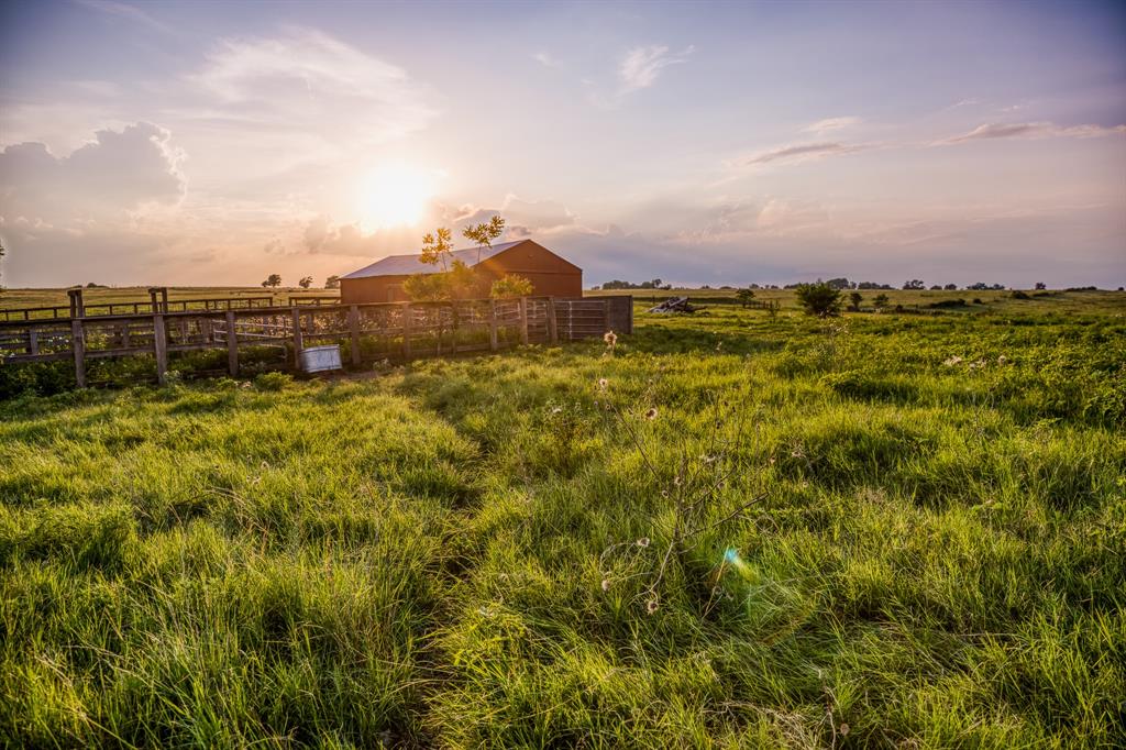 1580 Sempronius Road , Chappell Hill, Texas image 4