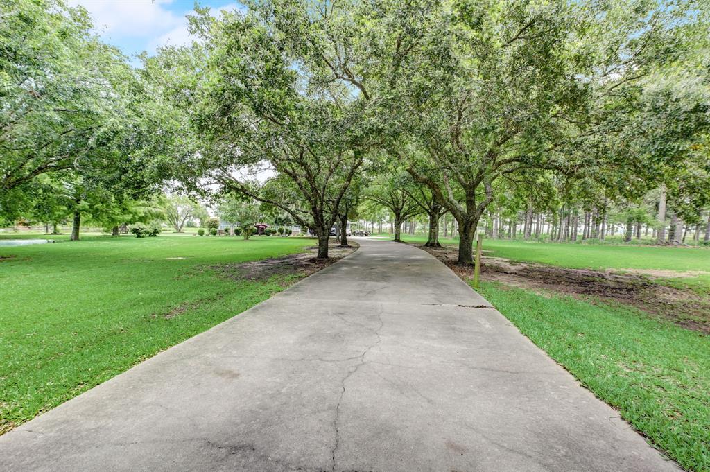 Gorgeous Oak tree lined driveway coming from the automatic gate offer a dramatic entrance.