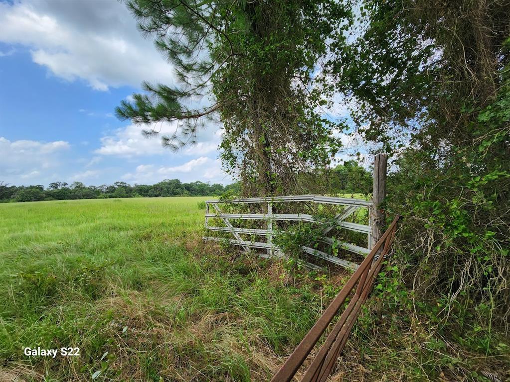 40224 Fm 1488 Road , Hempstead, Texas image 14