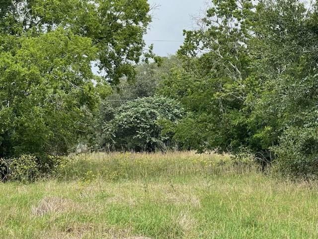 280 County Road 470  , Palacios, Texas image 6